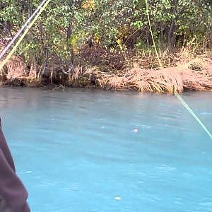 2011 Silver Salmon Fishing on the Kenai River
