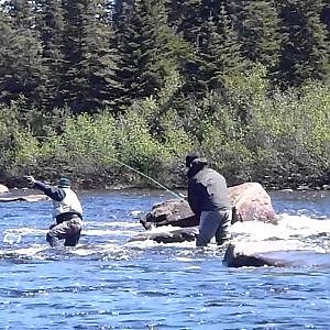 Sommer 2013: Lachsangeln in Labrador/Sandy Hill River (II): Number ONE !!