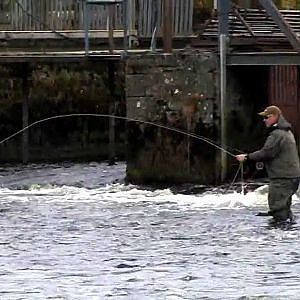 Irland - Fliegenfischen auf Meerforelle und Lachs - Info zum Film!