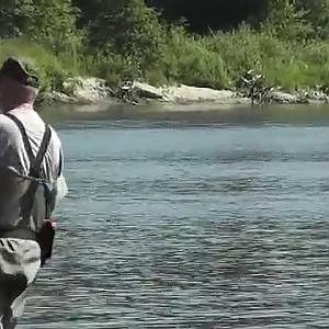 Fliegenfischen auf Lachs in Kanada B.C. Juli 2014