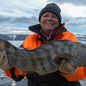 Angeln in den Westfjorden Islands 2013 Teil 3 - Dorsche Steinbeißer Tümmler am 13. Juli