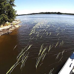 Muskie Fishing Canada