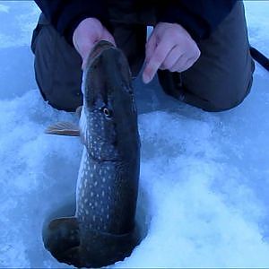 Hauen täkykalastusta Pike fishing on ice