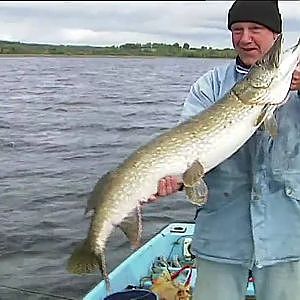 Pike Fishing Ireland on Lough Derg with Rick Zevering part2