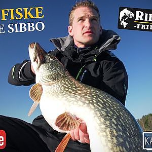 Ribatex TV - Gäddfiske på Lake Sibbo | Pike Fishing in Lake Sibbo (English Subtitles)