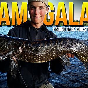 Fishing Dark Forest Pike in Summer | Team Galant (English subtitles)