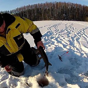 Winter pike ice fishing 1