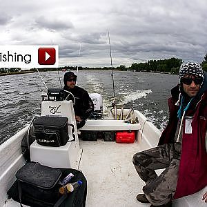 ANGELN AUF DER HAVEL MIT ANDY PELAJ UND PHILIPP STRANZ / ANGELN AUF WELS + BARSCH + HECHT