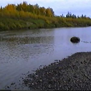 Sibirien - Huchen und Hecht in den Nebenflüssen des Jenissei