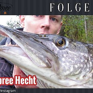 #58. Großer Hecht aus der Spree / Angeln auf Esox!