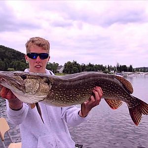 Meter-Hecht Drill an der Bleilochtalsperre (Big 40 Inch Pike Live Drill GoPro)