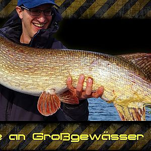 Hechte an Großgewässern (kapitaler Hecht 121cm) - giant pike 121 cm / 48 inch