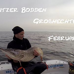 Hecht 1,26m / 1,25m Kubitzer Bodden Februar 2014 - Hechtverrückt