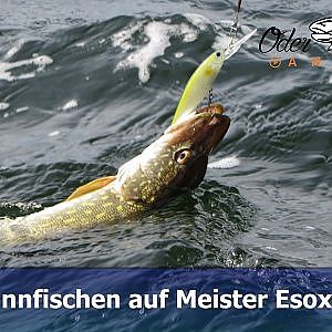 #14. Spinnfischen auf Hecht / 3 Tage Angeln auf dem Kölpinsee!