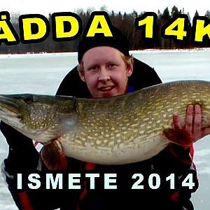 STOR GÄDDA 14.5 kg ISMETE - (Monster pike 32lbs) 2014 - Engsub | Team Baitbox |