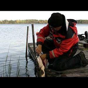 Gädda/Pike 10,2 kg release