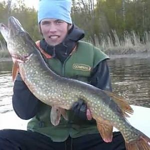 Gädda 7,2 kg / Pike 15,8 lb