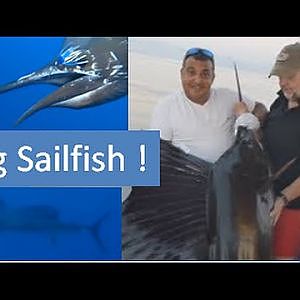 Fishing Adventures #89 - Big Sailfish in Fujairah