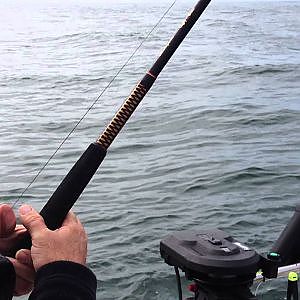 Halibut fishing surprise