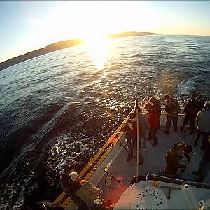 Overnight Reds, Lingcod & Sheephead Fishing Channel Islands Pacific Islander Boat HD