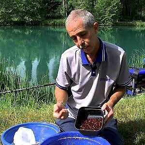 Trabucco TV - Tecniche di Pesca - Il Mincio a Peschiera - Bolognese vs Roubaisienne