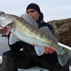 ZANDER FISHING IN ROMANIA: LAKE RADUTA IN SARULESTI by YURI GRISENDI