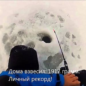 2 января 2014. Зимняя рыбалка. Камское устье, ловля судака и берша.