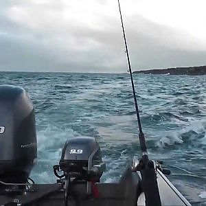 FISHING FOR LINGCOD AND ROCKFISH - 2014