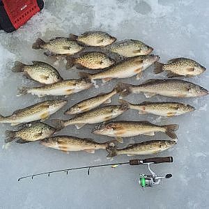 Ice fishing Lake Poygan, Walleye Madness!! (And a Gar!)