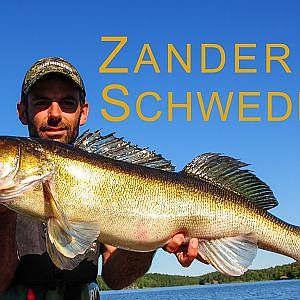 Zander & Hecht Angeln in Schweden - Pike & Zander Fishing in Sweden