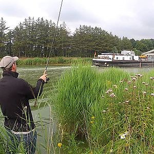 Mittellandkanal Zander