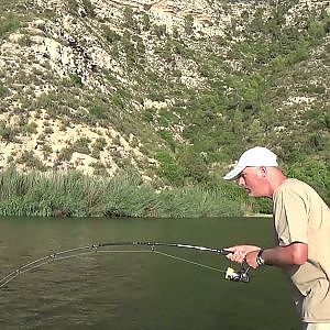 Spinnfischen auf Zander und Wels am Ebro in Spanien