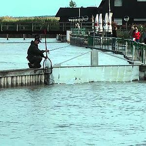 Vertikalangeln auf Zander am Neusiedlersee