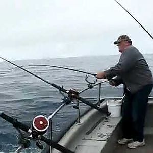 Fishing Tuna. Landed 129 Big Tuna