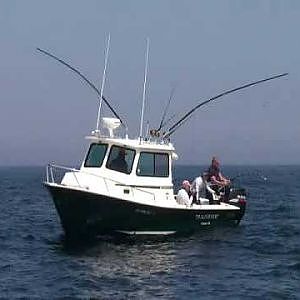 Bluefin Tuna fishing Cape Cod The Hook-Up!