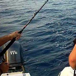 Tuna Fishing Cyprus