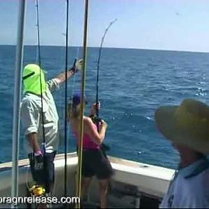 The Reel Teaser Collection Part 3 Blue Water Sailfish Action