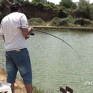 Pesca sportiva alla carpa a Roma Tor Cervara