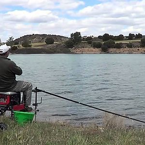 Pesca de carpas para principiantes