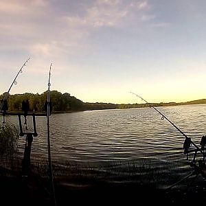 B&P fishing - im Land der ELCHE - 2013 Karpfenangeln in Schweden