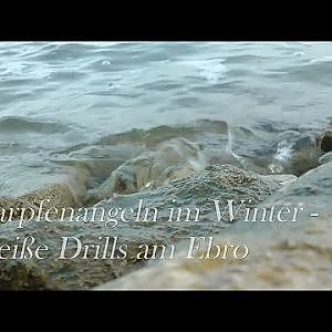 Karpfenangeln im Winter - Heiße Drills am Ebro