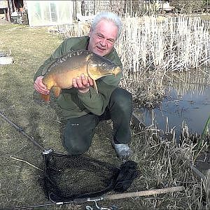 Karpfenangeln - Frühlings-Karpfen im Flachwasser