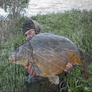 Karpfenangeln-Kiessee-Action