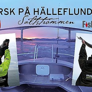 Torsk på hälleflundra!