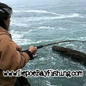 How to catch Ling Cod