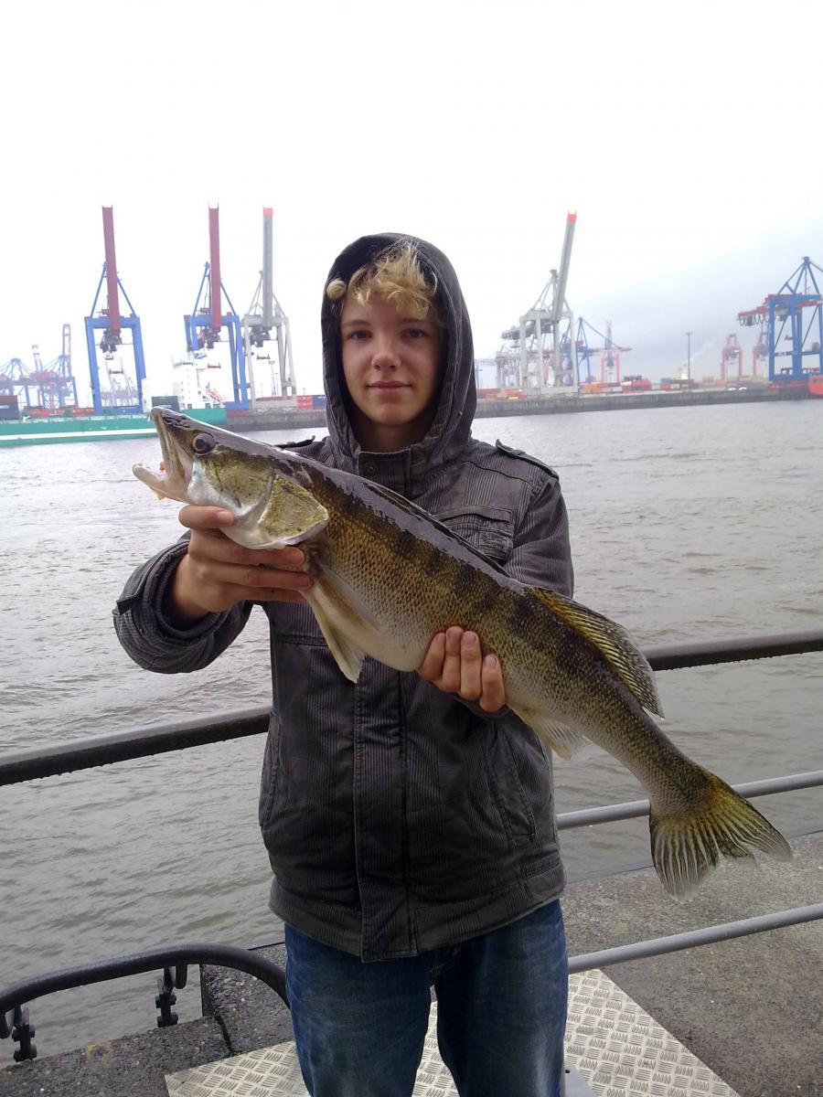 72er Zander, auf nen kleinen Köderfisch in der Elbe.