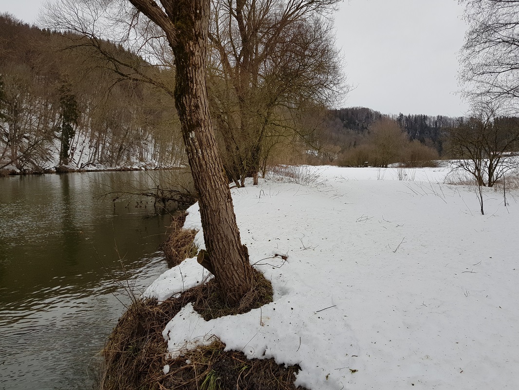 Iller Januar 2019 - Fischers