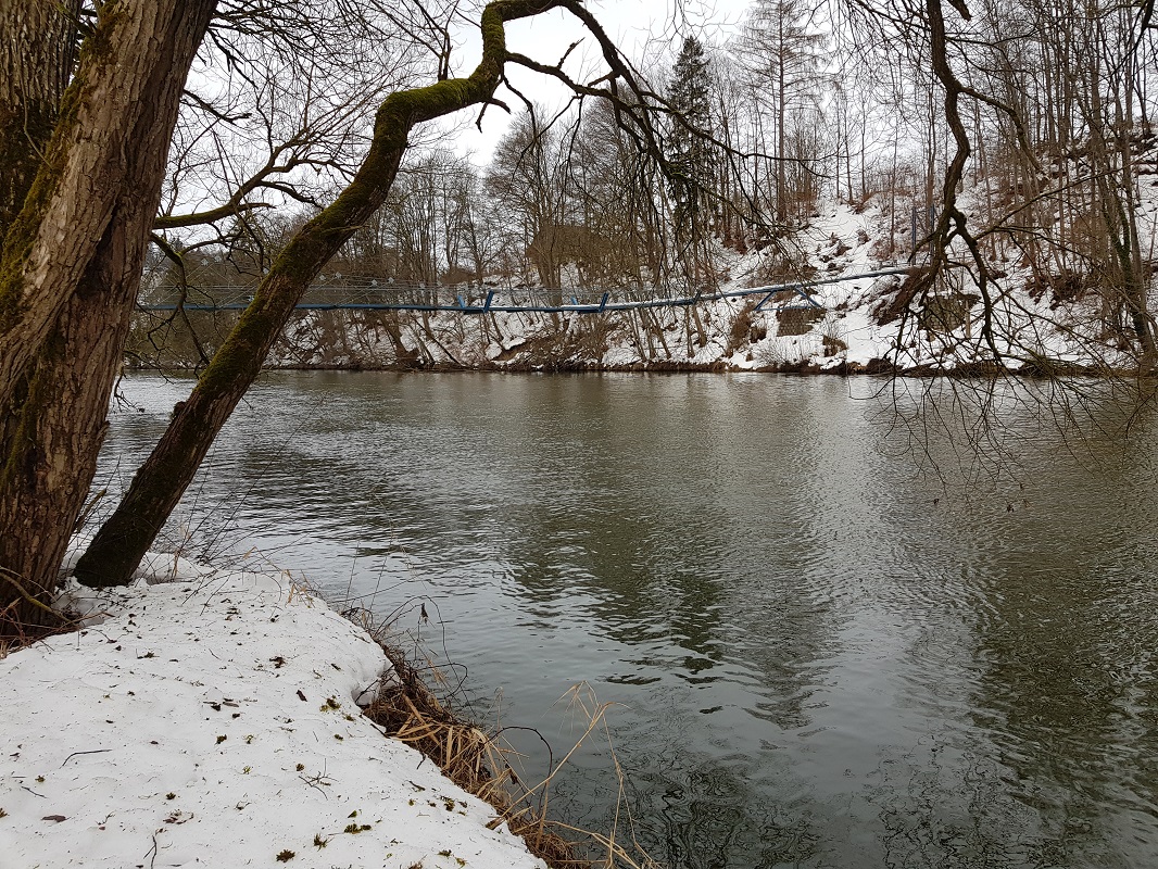 Iller Januar 2019 - Kabelhängebrücke Fischers