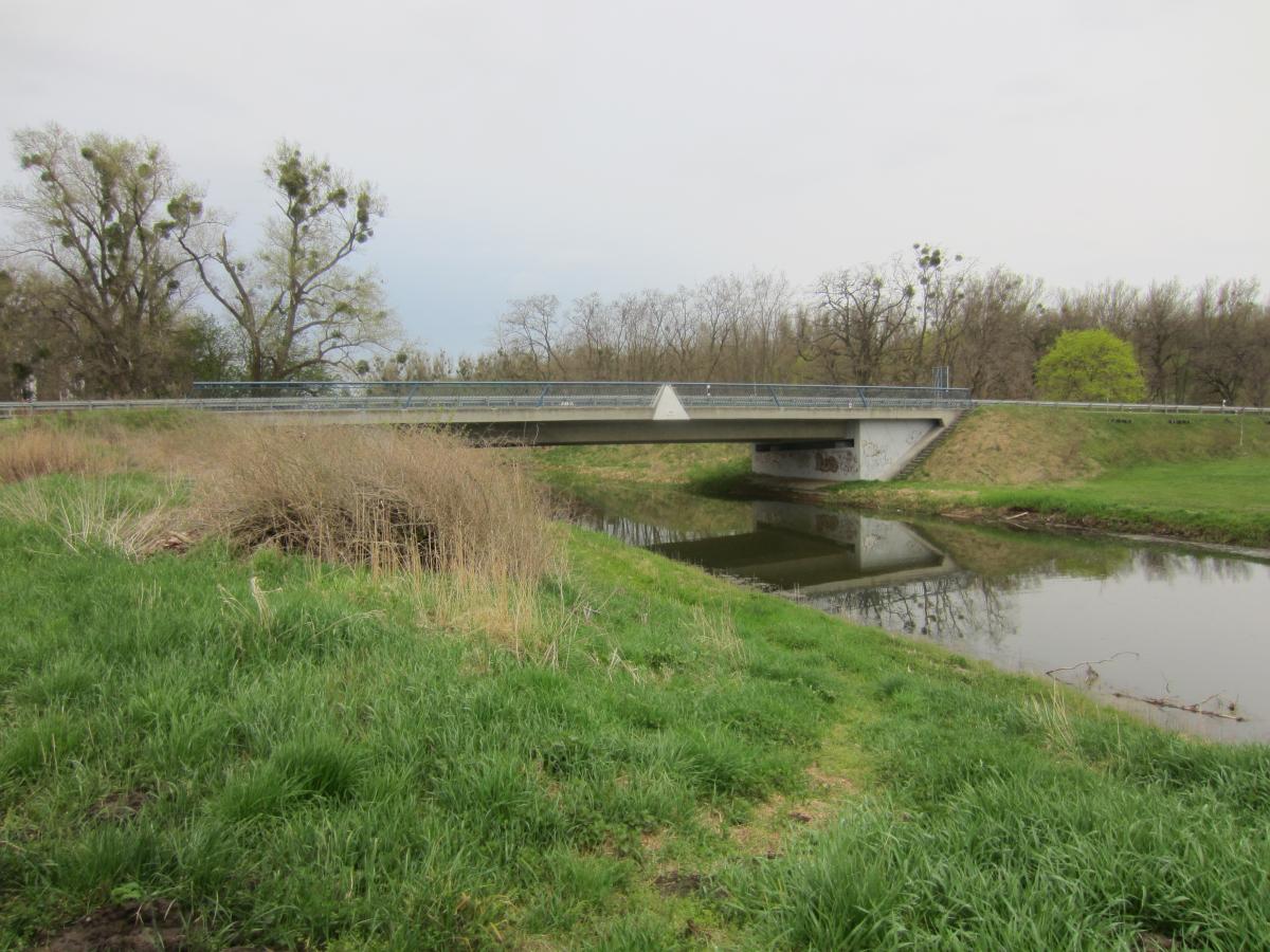 Nauen-Paretzer Kanal (bei Bredow an der L 161) 27.04.2013
Bild 1