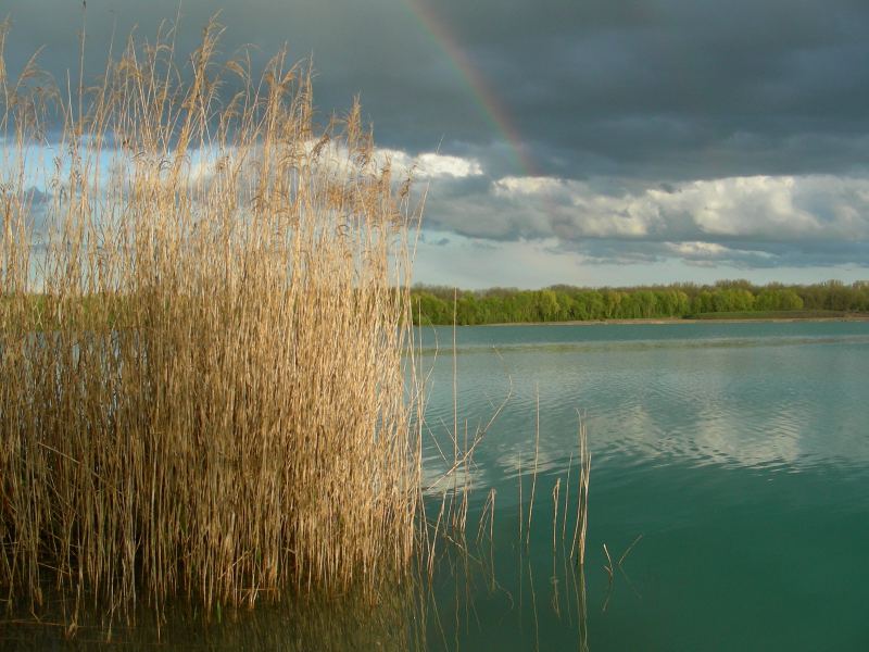 Regenbogen überm See